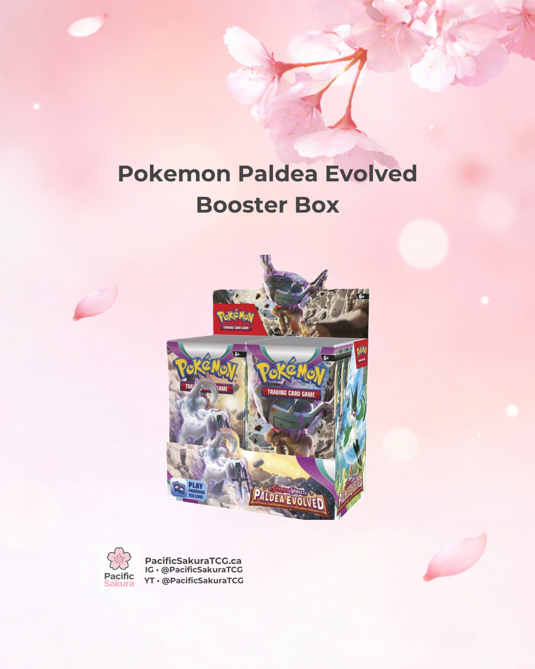 team rocket 1st edition booster box sealed Pokemon Pack: 1st Edition Team Rocket Booster Pack Sealed – THE CARD SPOT  PTY LTD