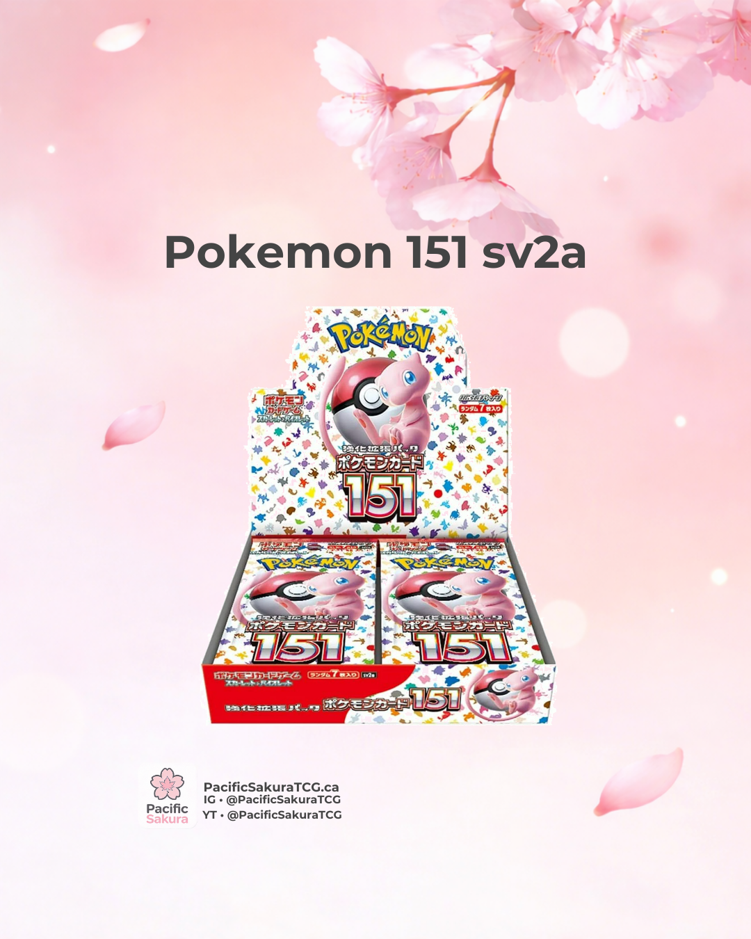 Pokmon 151 sv2a Japanese Booster Box Sealed | Pacific Sakura Pokmon 151 sv2a Japanese Booster Box Sealed | Pacific Sakura